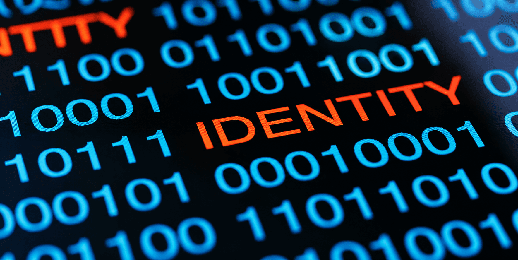Identity Theft