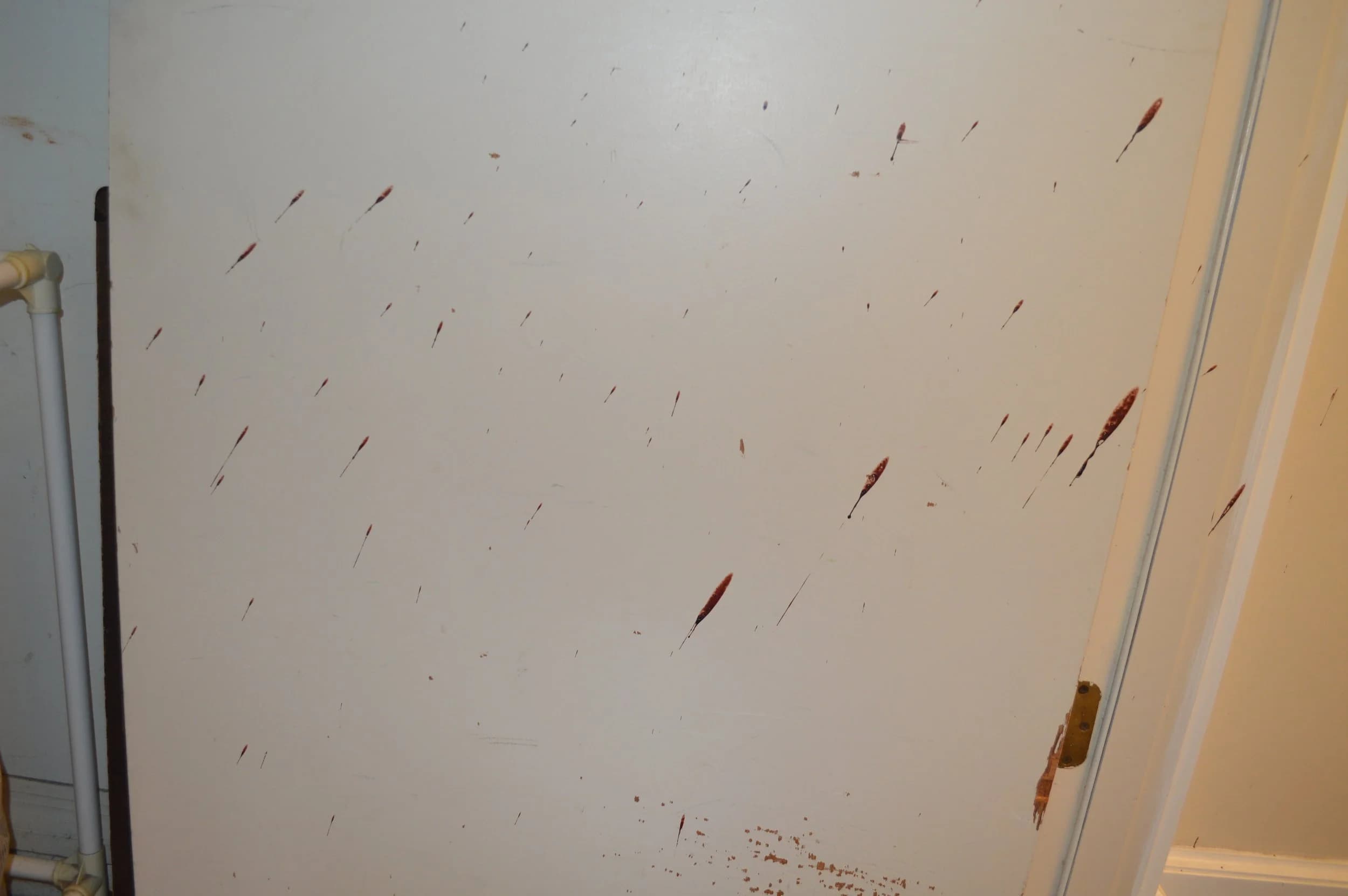 Forensic Lab Testing — case photograph 1